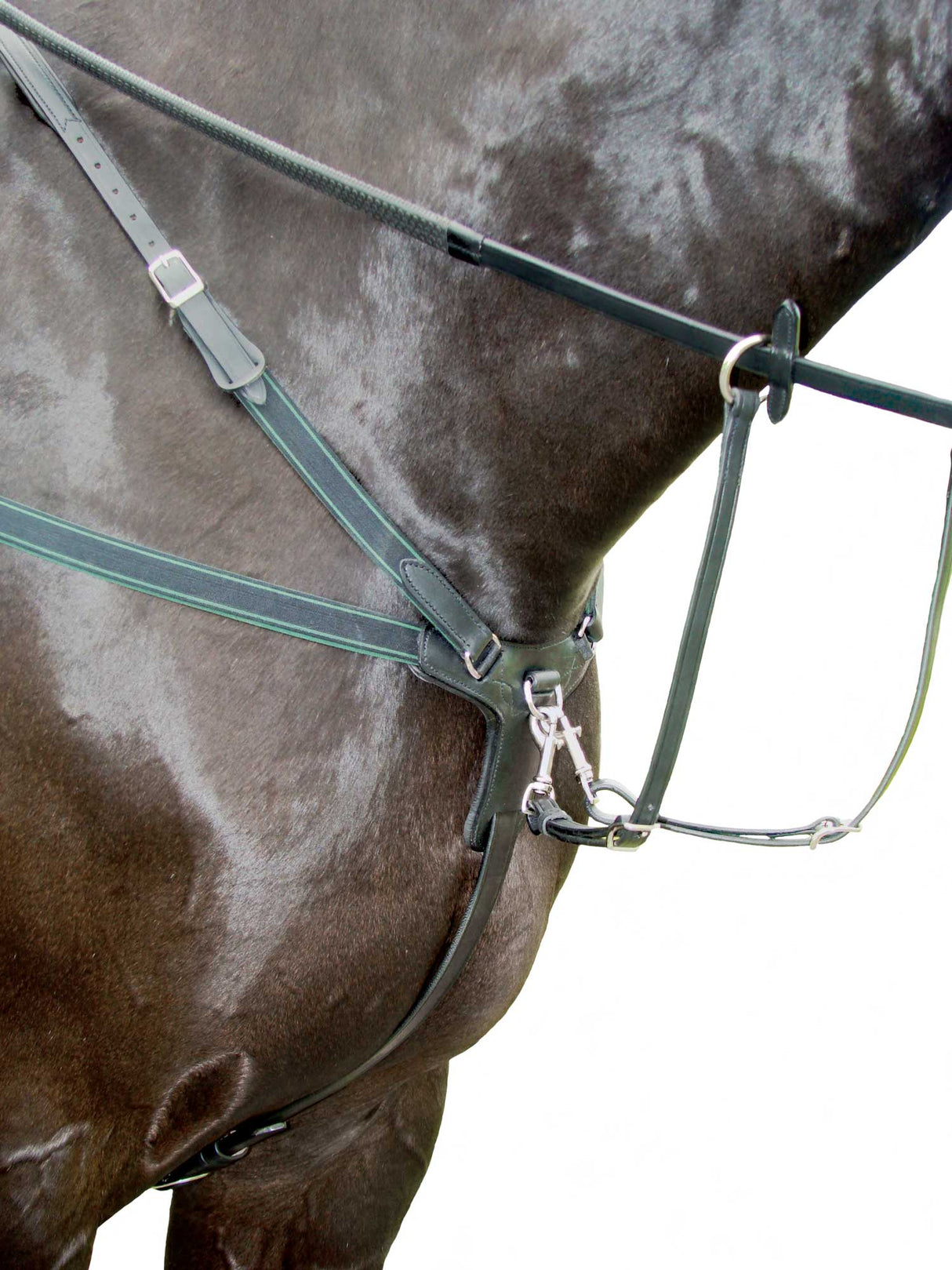 Amerigo Custom Combination Breastplate