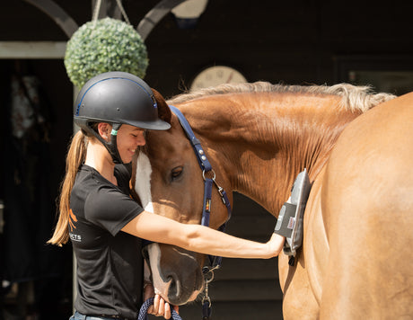 Young equestrian standing next to a chestnut horse and using the Equilibrium Massage Therapy Mitt on the horse's shoulder area