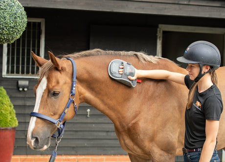 Woman next to chestnut horse using the Equilibrium Massage Therapy Mitt on the horse's neck