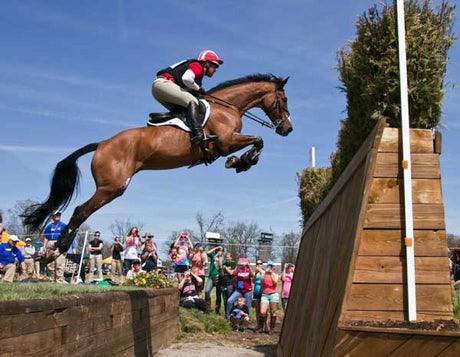 Buck Davidson on a bay horse jumping a large Weldon's Wall.