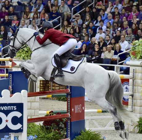 Kim Prince riding a gray horse over an oxer.