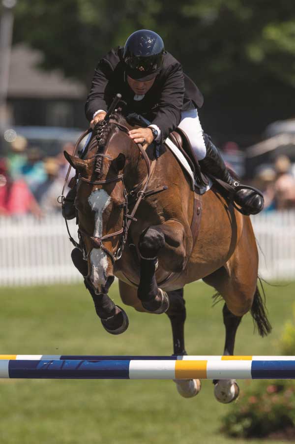 Aaron Vale riding a chestnut horse over a high oxer.