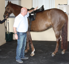 Peter Menet standing next to a dark chestnut horse showing a saddle's balance point