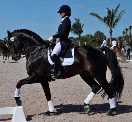 Allison Brock on a dark bay horse in dressage arena and show attire.