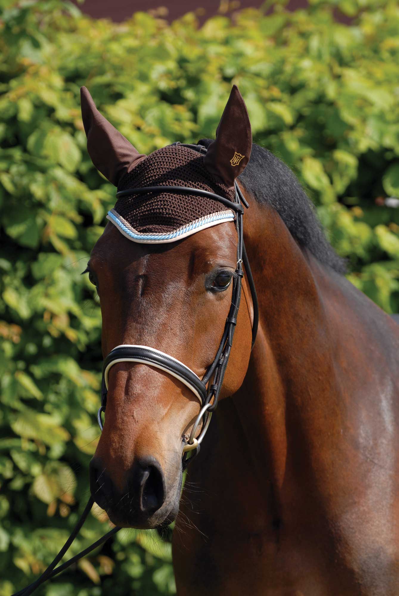 Dark bay horse wearing a Mattes crocheted ear bonnet.