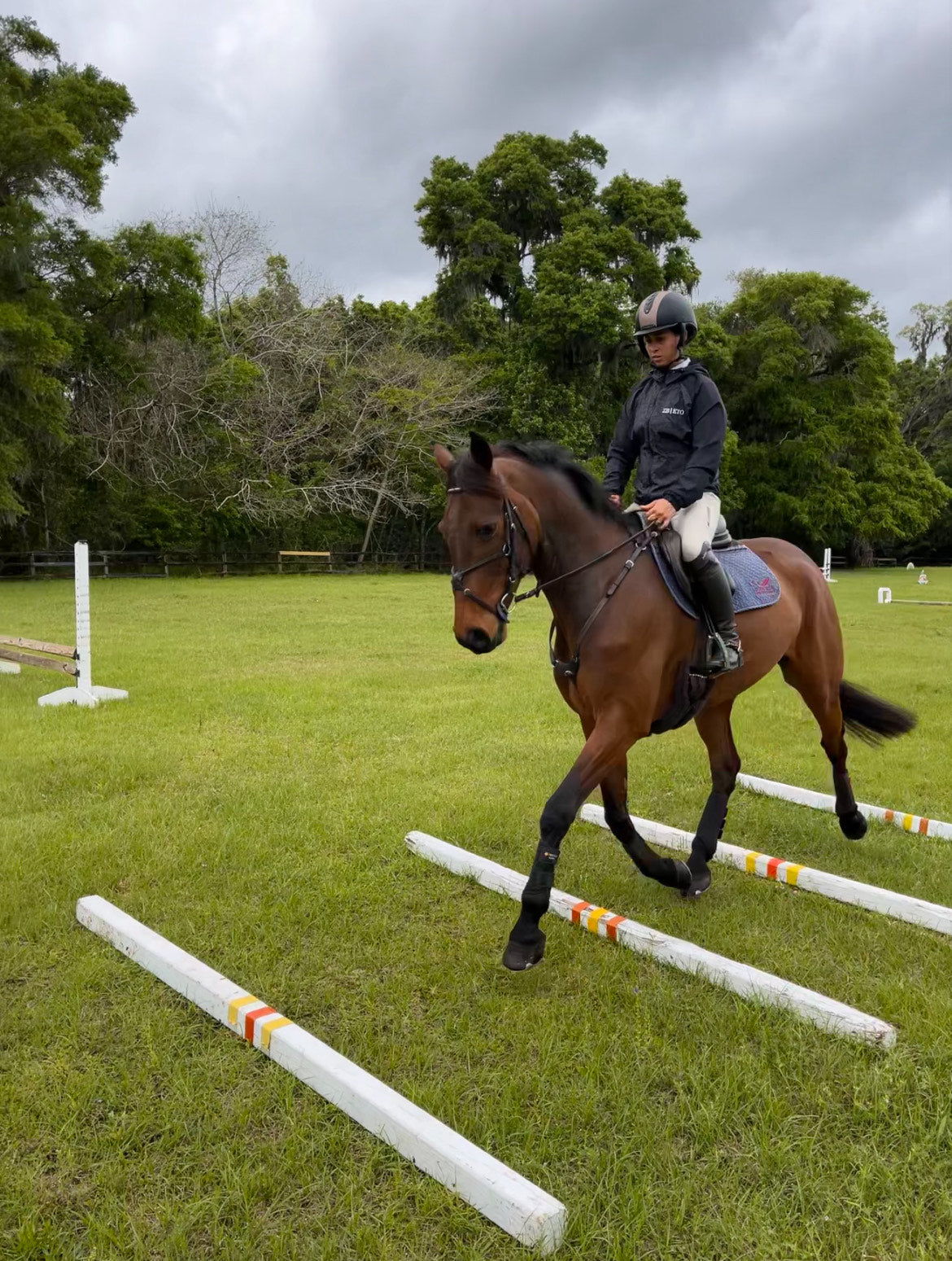 Natalia Neneman riding a dark bay horse over poles on the ground