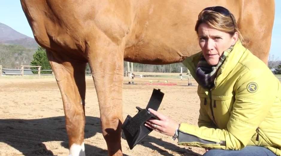 Robin Moore and a chestnut horse explain the engineering of the Equilibrium Tri Zone Over Reach Boots.