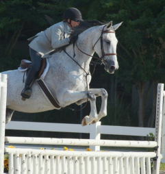 Stacey Stone showing in pre-green hunters with one of her young horses in a Vespucci raised stitched hunter bridle.