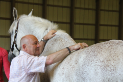 Amerigo saddle designer Peter Menet with a gray horse showing important points on the horse's back