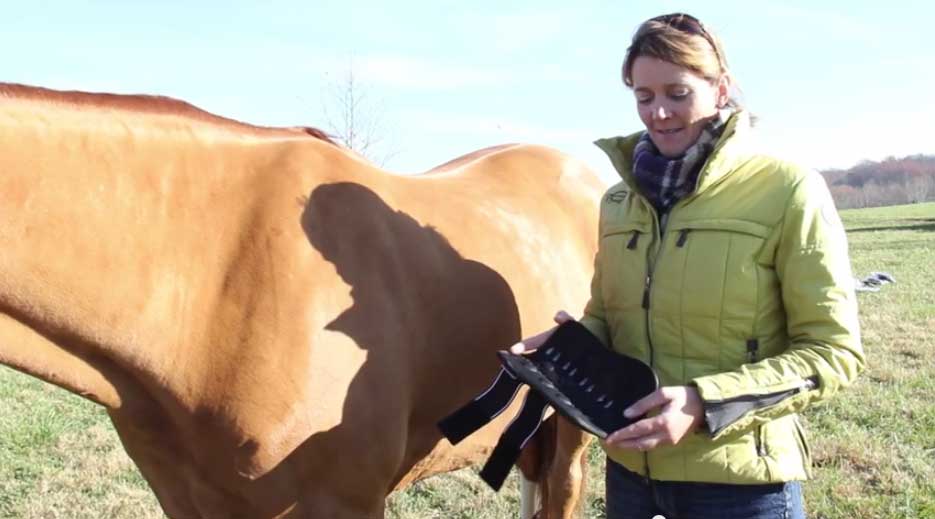 Robin Moore and a chestnut horse explain the technology behind the Equilibrium Tri Zone boots.