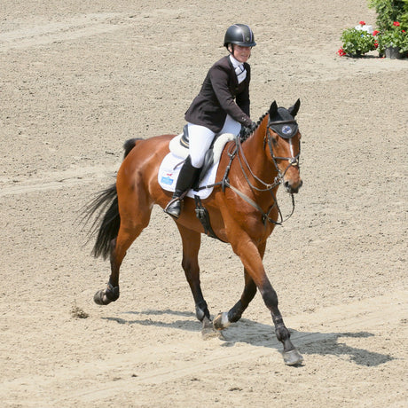 Booli Selmayer riding a bay in a showing jumping arena