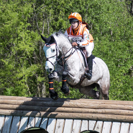 Sharon White on a gray horse jumping a rolltop on a cross country course.