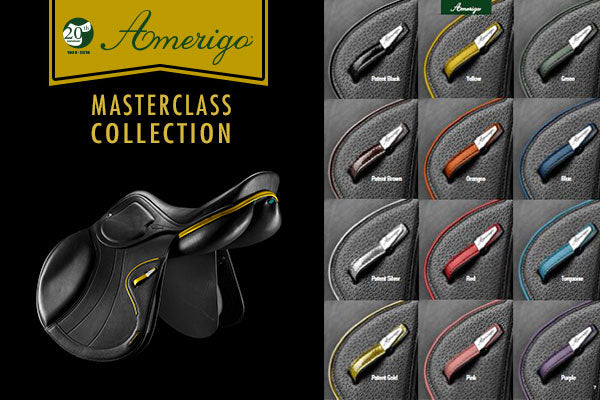 Amerigo Masterclass Collection of saddles graphic