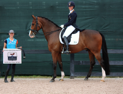 Lauren Sammis sitting on a bay horse being presented with recognition from World Equestrian Brands for her dressage ride