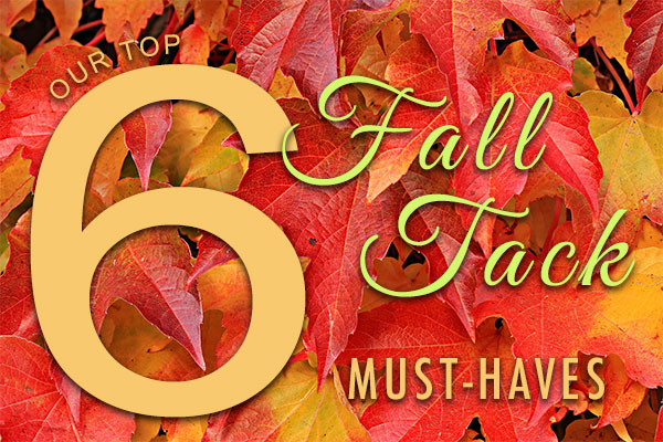 Our top 6 fall tack must-haves graphic