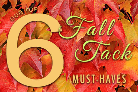 Our top 6 fall tack must-haves graphic