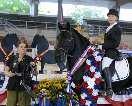 October 16, 2015: Tybirus de Audibert Wins a World Championship and World Equestrian Brands Tack Matters Award at 2015 IFSHA