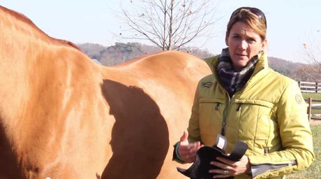 Robin Moore and a chestnut horse explain the Equilibrium Flatwork Wraps.