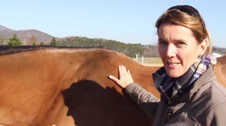 Robin Moore and a bay horse explain how to properly fit an Amerigo saddle.