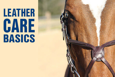 Graphic image for Leather Care Basics article showing close up of horse wearing a figure 8 bridle