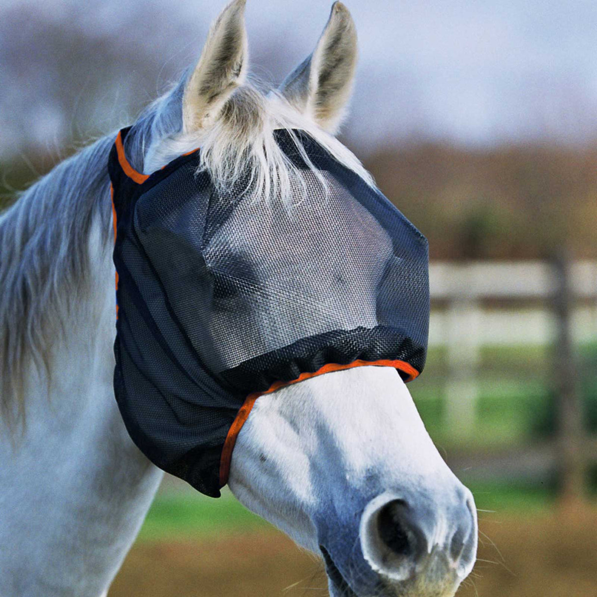 Field Relief Midi Fly Mask (no ears)