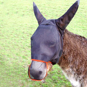 Fly Masks