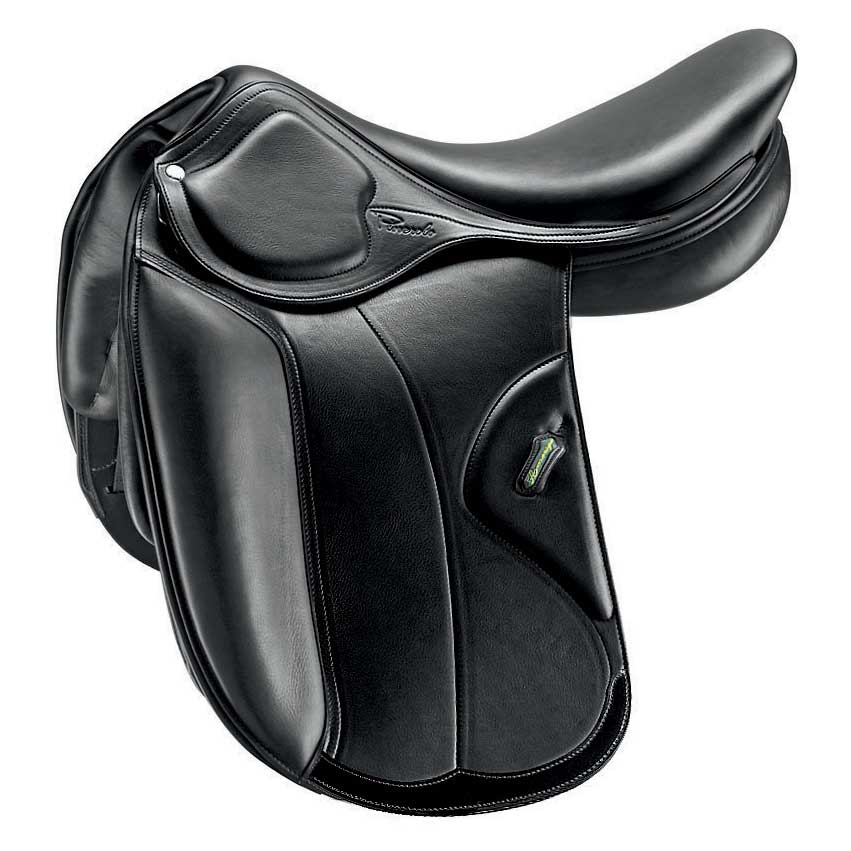 Amerigo DJ Dressage