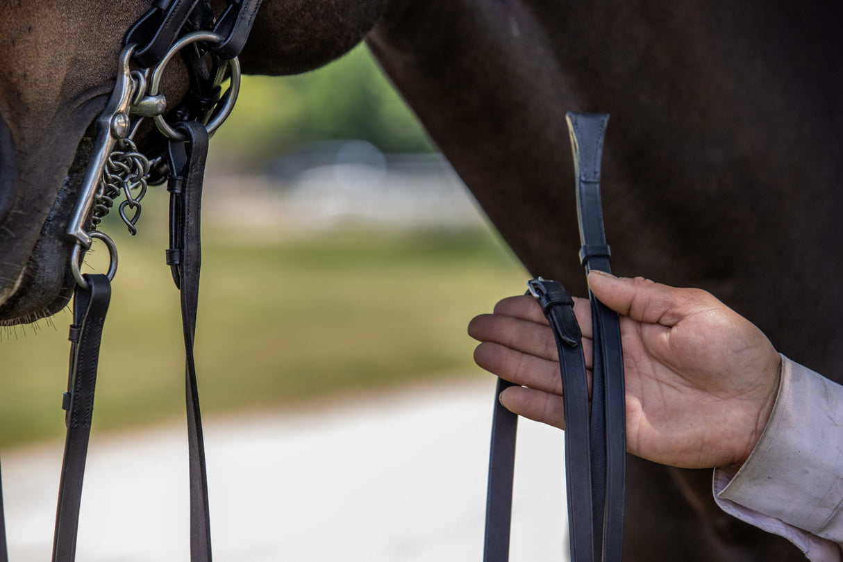 Close up of dressage reins