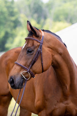 Fancy raised hunter bridle on horse