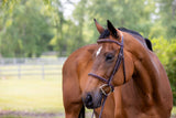 Fancy stitched raised hunter bridle on horse