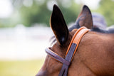 Close up of bridle crownpiece on horse