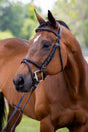 Plain raised jumper bridle on bay horse