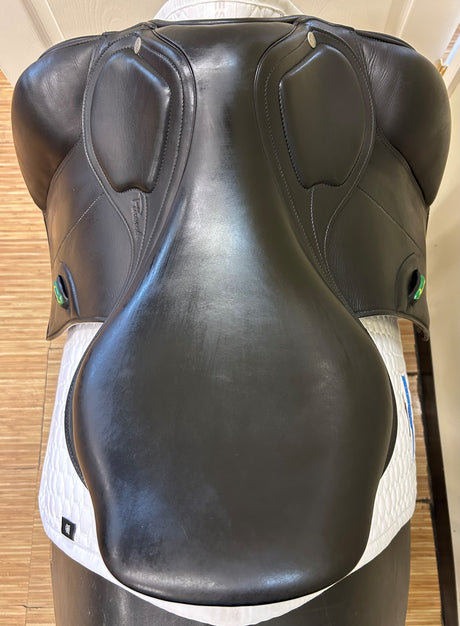 Amerigo Alto Dressage Pinerolo