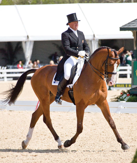 Double Raised Weymouth Bridle