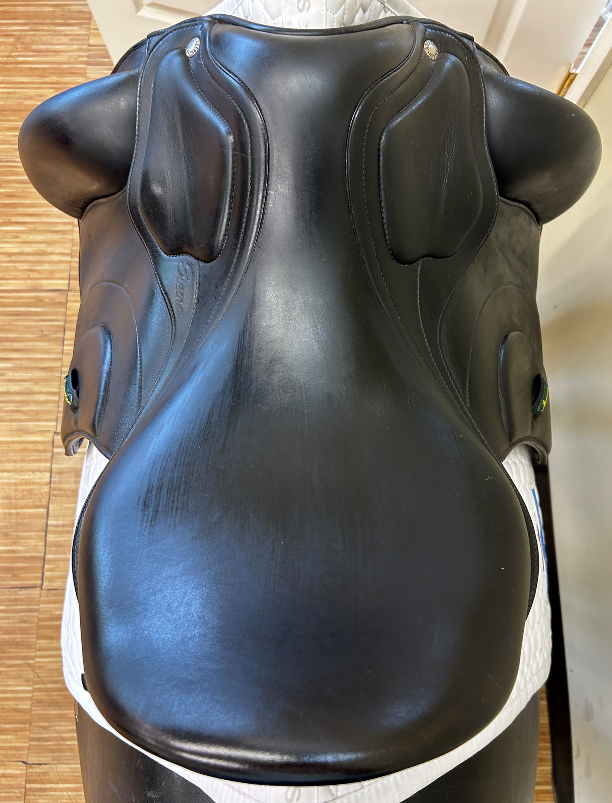 Amerigo Dressage Classic Siena Pinerolo - 17N006010120
