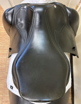 Amerigo Dressage Alto Pinerolo - 18L1723054