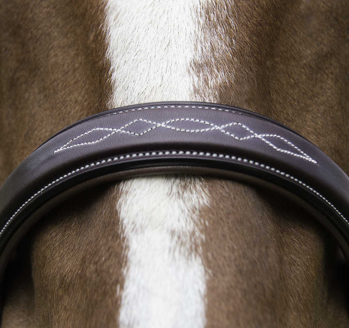 Veritas Fancy Raised Hunter Bridle