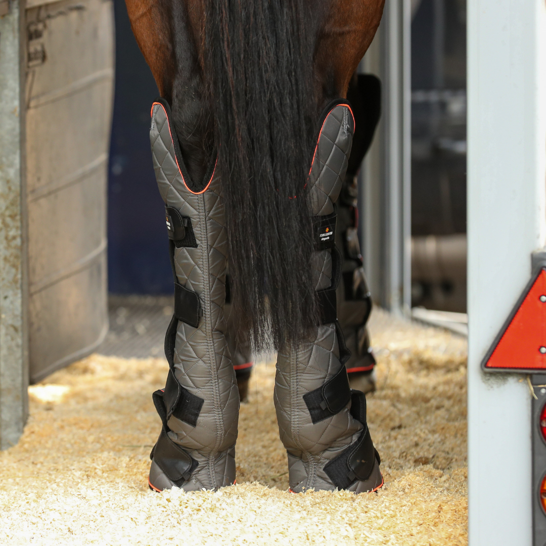 Equilibrium Therapy Magnetic Hock Boot