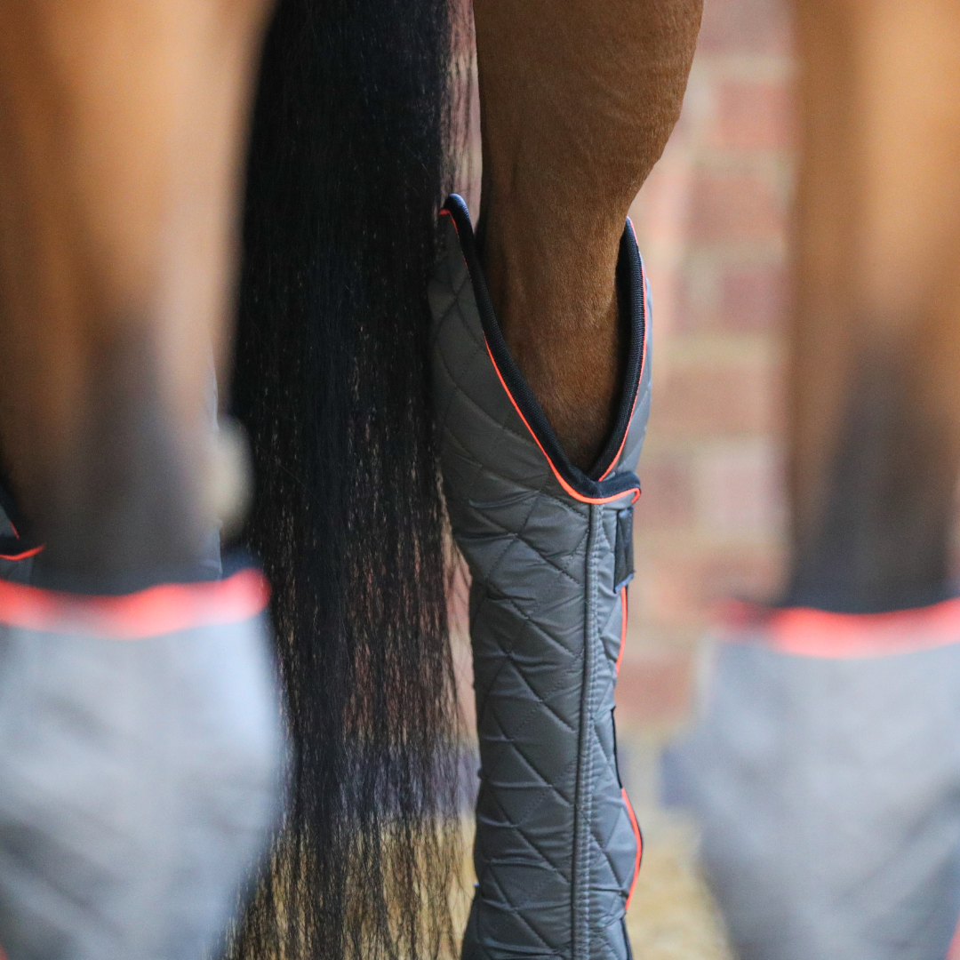 Equilibrium Therapy Magnetic Hock Boot