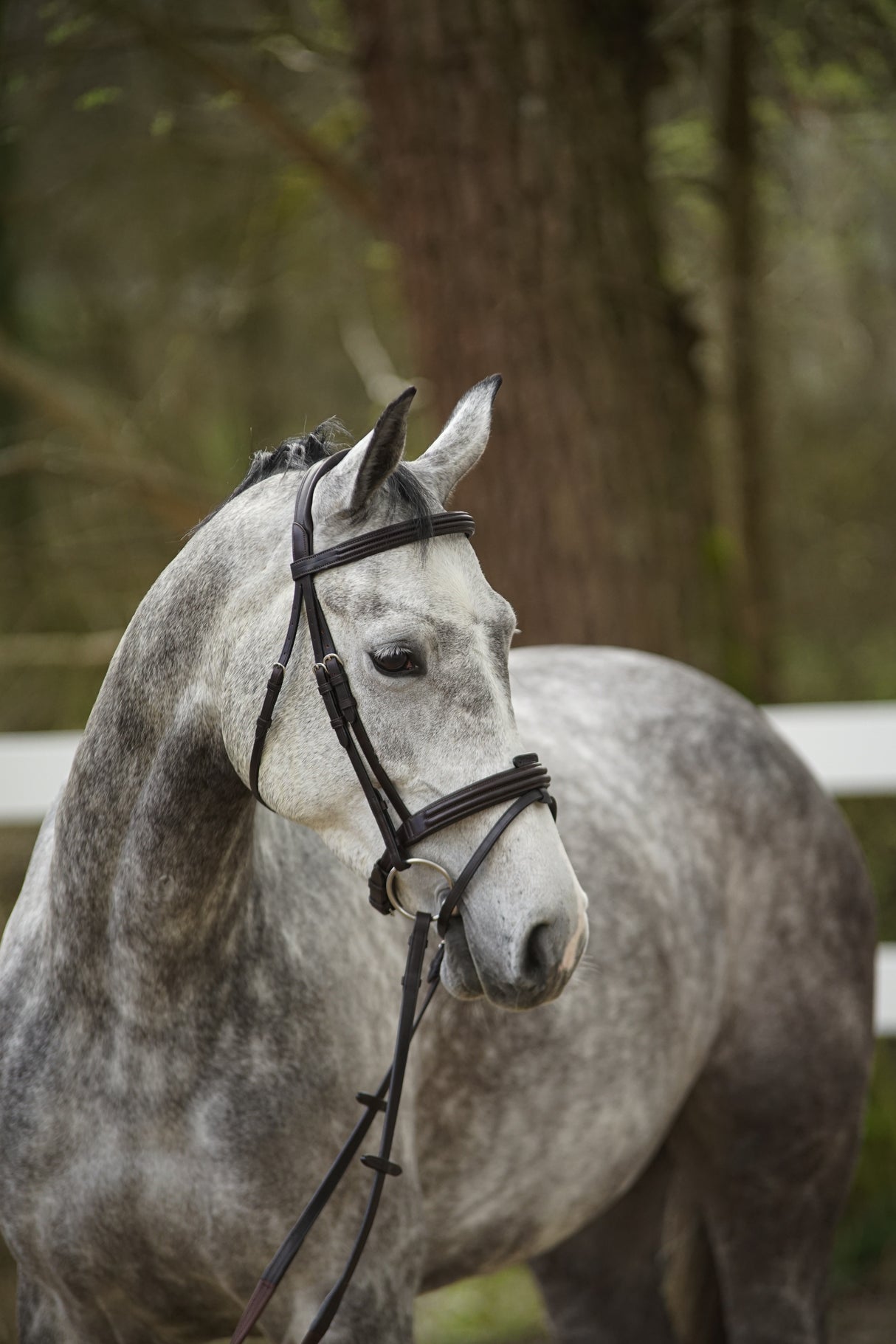 Menetics Dressage Snaffle Double Raised Bridle