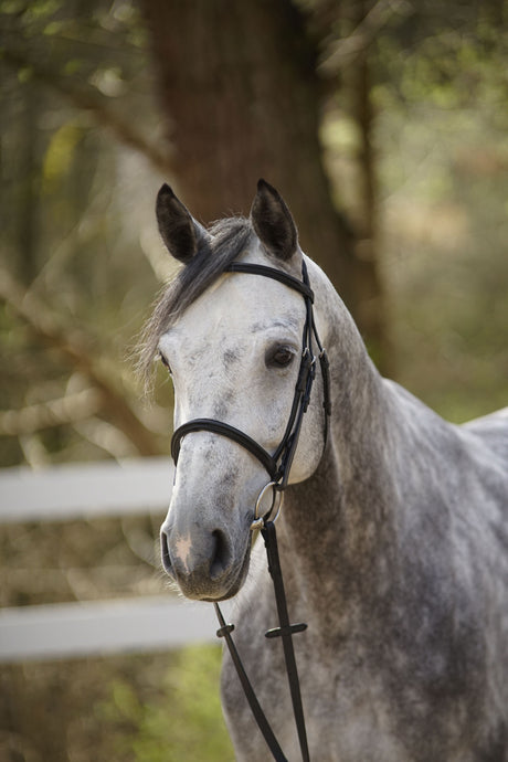 Menetics Flash Bridle Square Raised