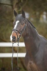 Menetics Flash Bridle Fancy Stitching