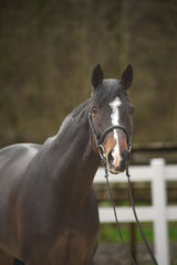 Menetics Flash Bridle Fancy Stitching