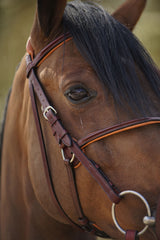 Menetics Figure-8 Square Raised Bridle