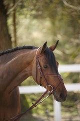 Menetics Figure-8 Square Raised Bridle