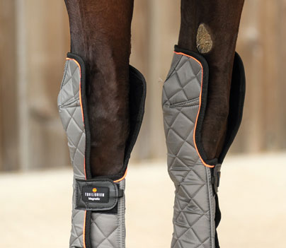 Equilibrium Therapy Magnetic Fore & Knee