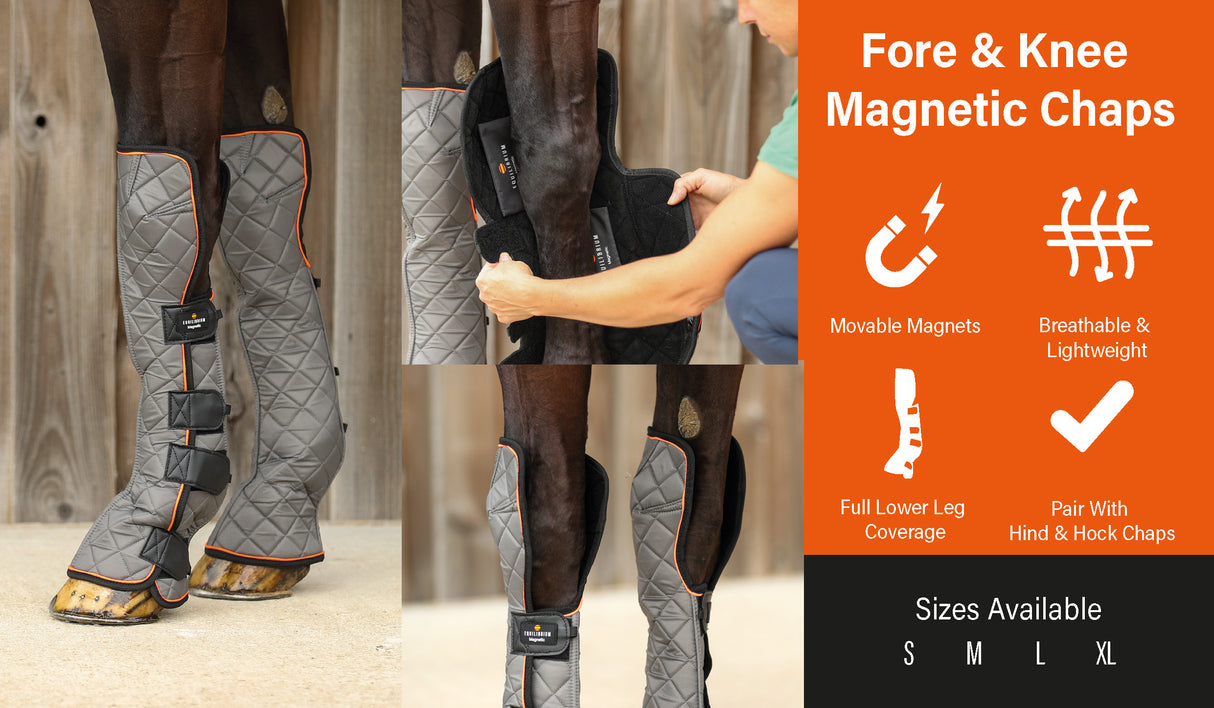 Equilibrium Therapy Magnetic Fore & Knee