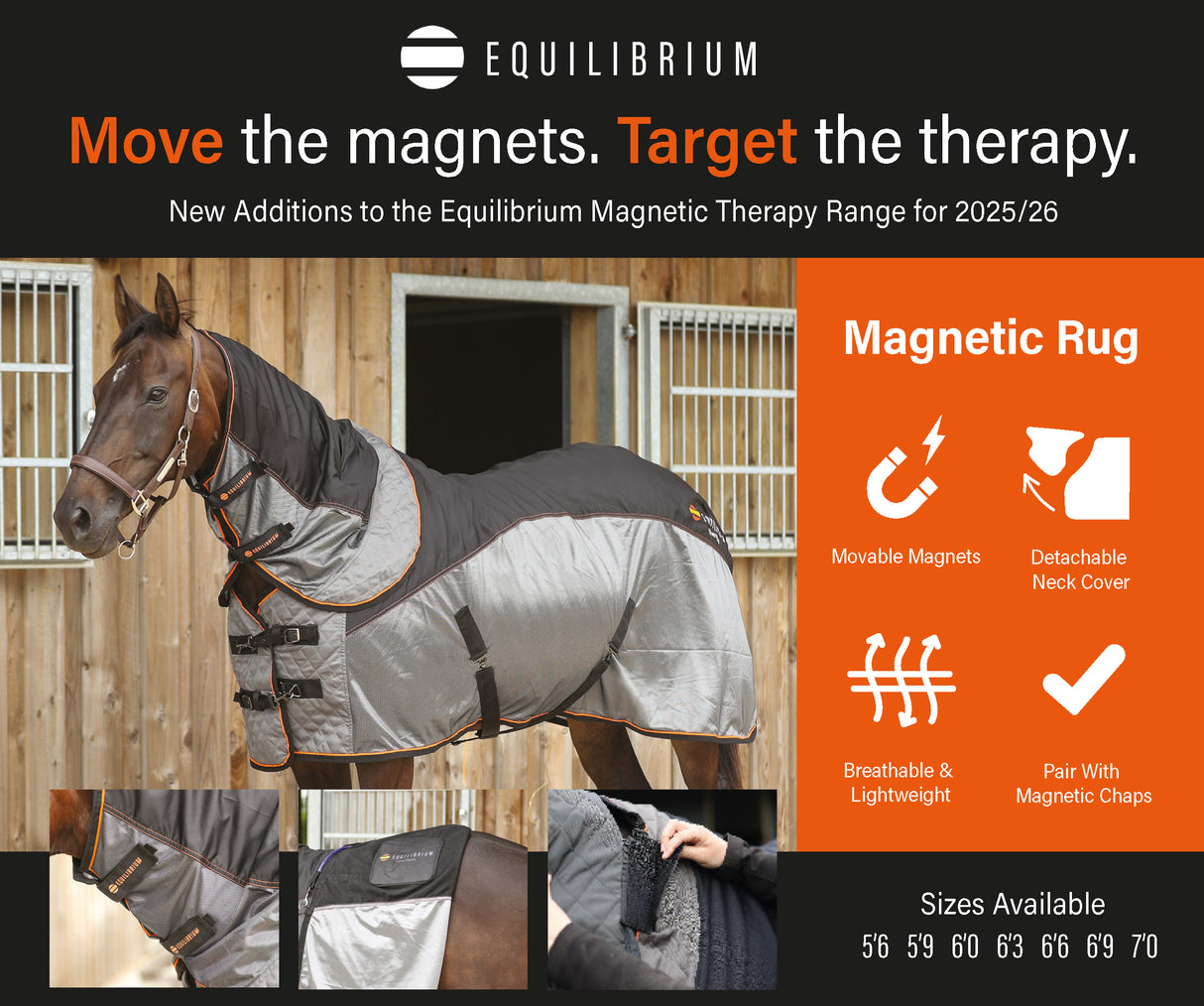 Equilibrium Therapy Magnetic Rug