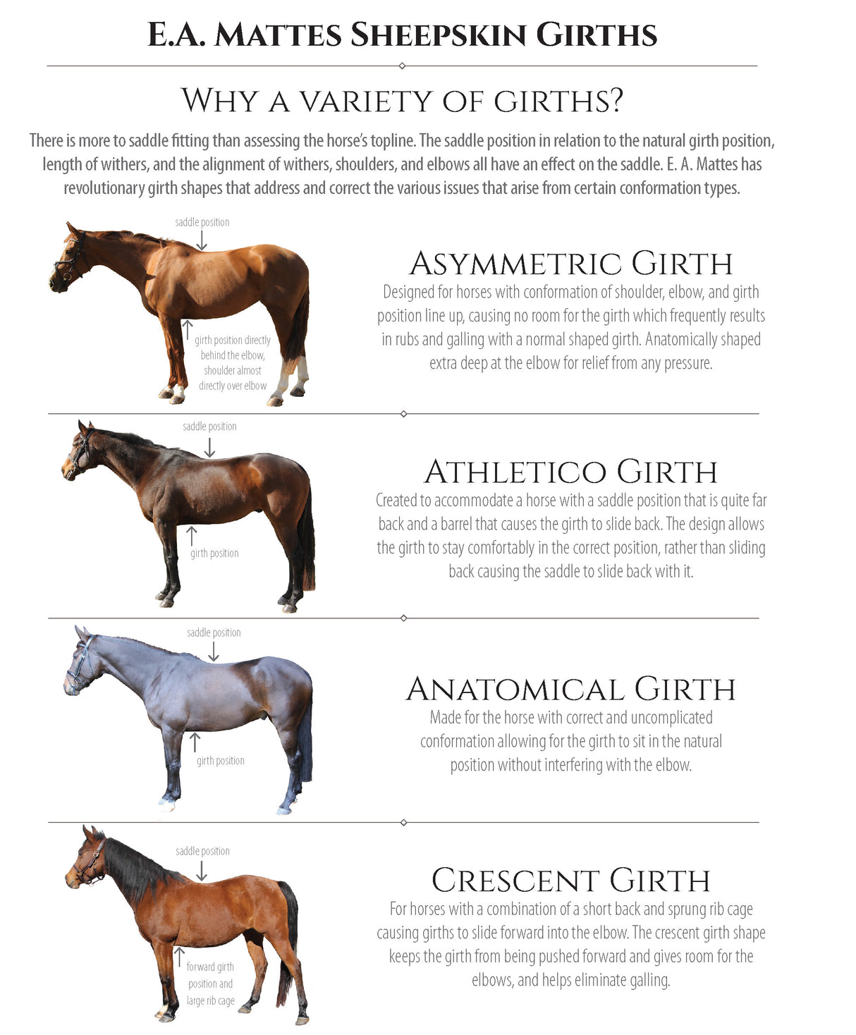 Mattes Western Girth