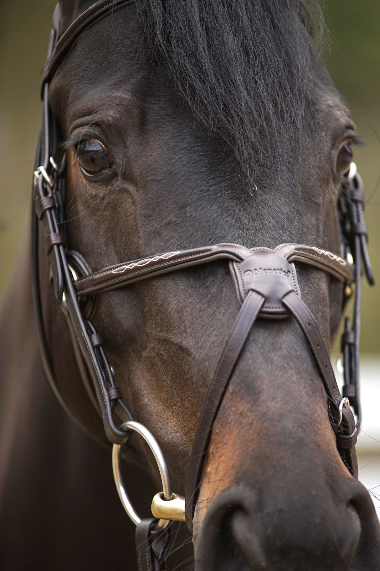 Menetics Figure-8 Fancy Stitched Bridle